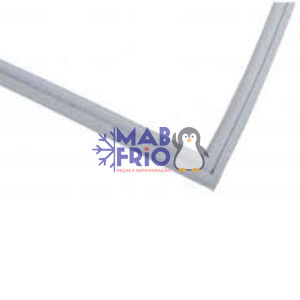 GAXETA BR DUP INF BRM48-BRX48-PRM48-RRM48 62 X 111